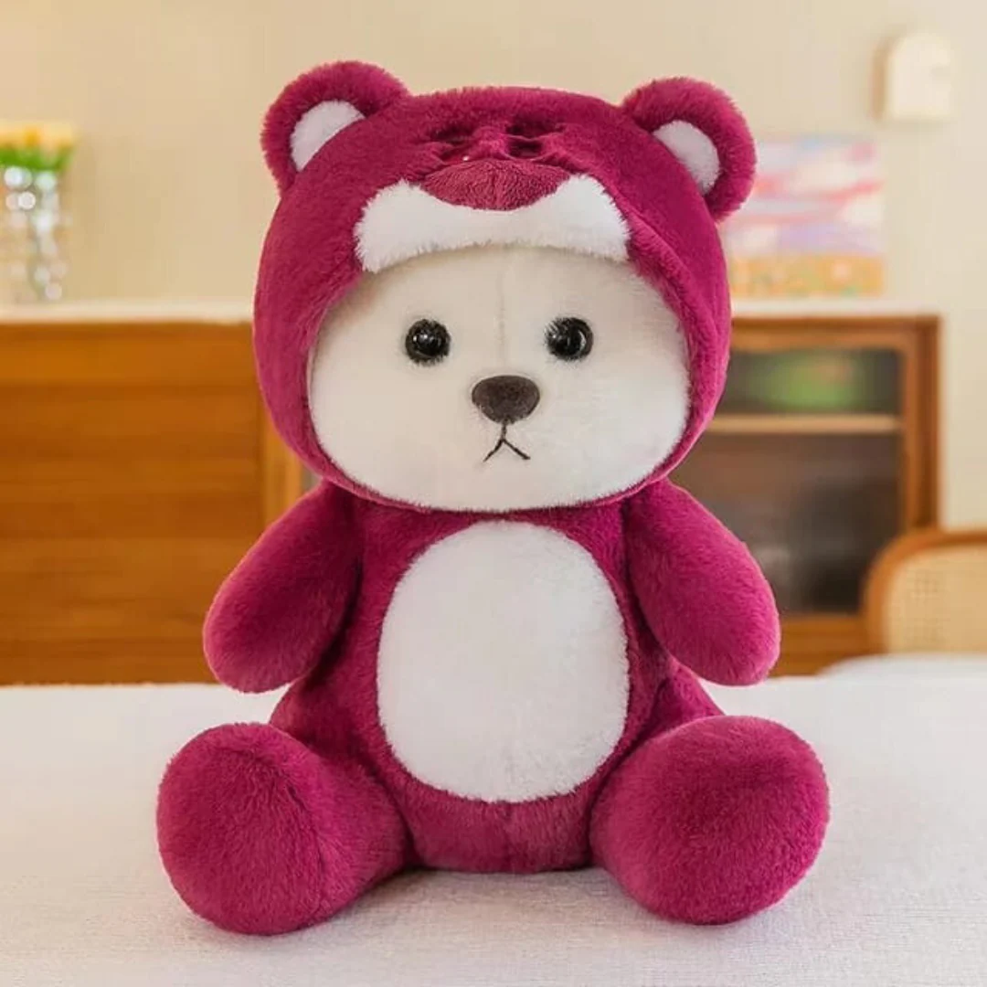 Hoodie Bear | Teddy Bear | 5 colors