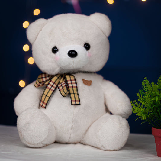 Cloudie | Teddy | 35cm | Customized plushie